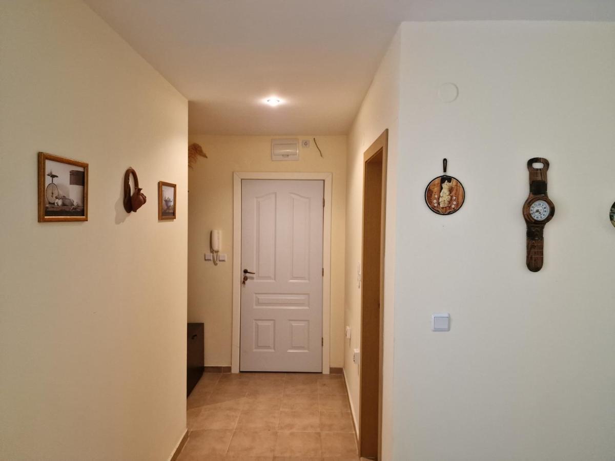 Sloneczny Brzeg Green Fort Noks Studio מראה חיצוני תמונה
